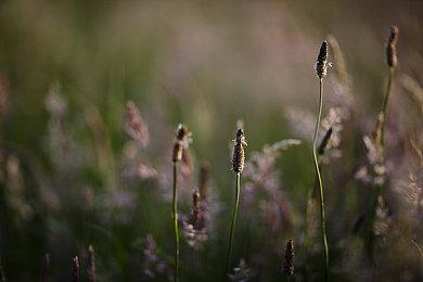 《噬血代码2》新情报 美女身材妆容等随便调整